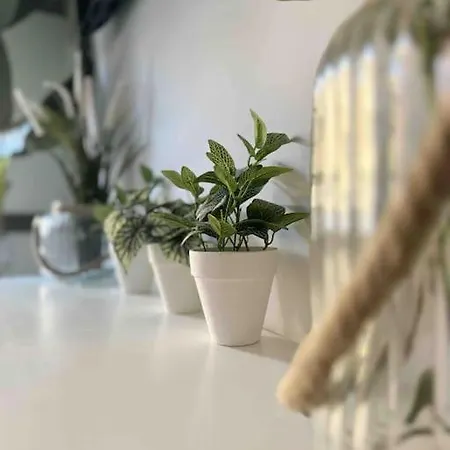 - Cabanyal Boutique Holiday home *